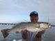 Matrix Shad's Chas Champagne