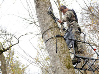 Wearing a safety harness and attaching yourself to a lifeline before ever leaving the ground are keys to tree stand safety.