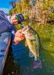 Don’t be afraid to flip shallow during January warm-ups because some bass will actually move up to spawn.