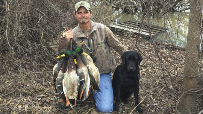 Roland Cortez holds up a stringer of mallards harvested late in the season. As winter progresses and Louisiana gets colder and rainier, more mallards make their way south.