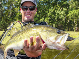 Bassmaster Elite Series pro Keith Combs said a topwater frog is a great all-around lure for shallow wintertime bass.