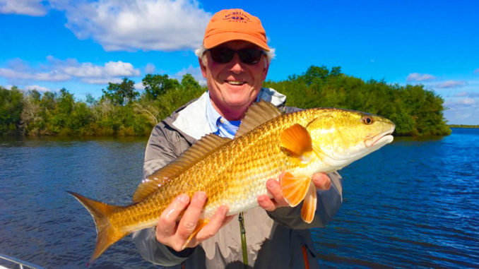 Soft plastics and spinnerbaits are both effective if you’re targeting redfish out of Lafitte this month, according to Capt. Theophile Bourgeois.