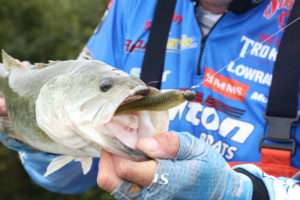 Next time the fish are finicky, try rigging a medium swimbait on a football head and rumbling it across the bottom. 