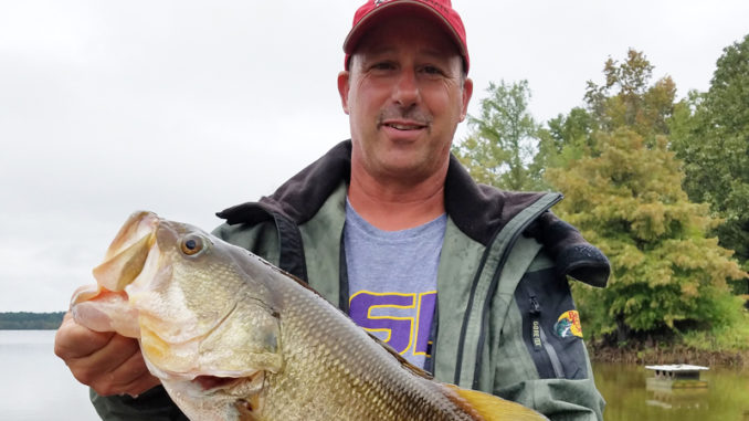 This 7-pound, 2-ounce bass was caught by Dusty Anders of Alexandria on a Top Toad in the 12-15 area.