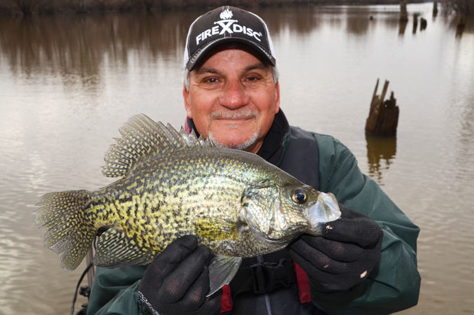 Winter-time crappies are fat and chunky in South Louisiana because they feed heavily in the fall and early winter.