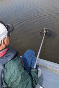 With his long-handled dip net, Royer can scoop up every fish hooked — without having to move from his seat.