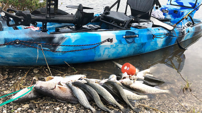 During cold fronts, Scott Toups had had success fishing for speckled trout in deep holes close to the launch out of Golden Meadow. 