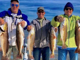 Capt. Joe Ezell said Delacroix is in the midst of an awesome redfish run — market bait or chartreuse artificials are both good bait choices.