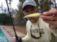 Marsh Man Masson ventured to his neighborhood swimming pool to put some twitch baits through their paces.