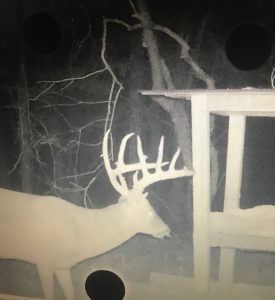 This is a trail cam photo of Ben Brallier's Concordia Parish 14-point buck he nicknamed Picket Fence. Brallier shot the buck on Nov. 18, and it green-scored north of 172 inches of bone. 