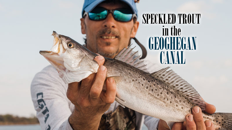 Some tips on how to fish the ledges in the Geoghegan Canal to catch wintertime speckled trout near Lake Pontchartrain this month.
