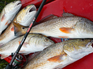 Some days it is best to stay home and organize your gear. But if you choose your days carefully, you can find some excellent kayak fishing during February.