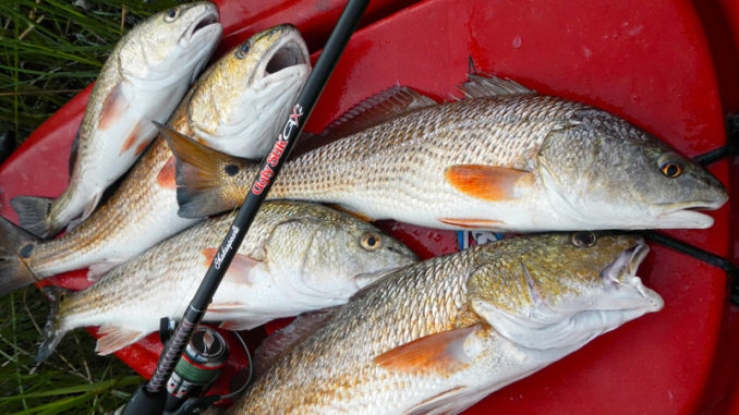 Some days it is best to stay home and organize your gear. But if you choose your days carefully, you can find some excellent kayak fishing during February.