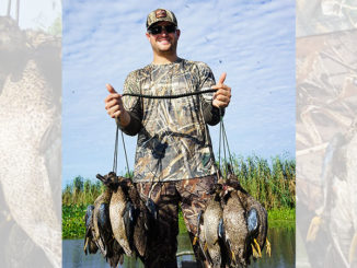 Louisiana duck hunters could be looking at a four-teal limit next September, if a proposal made at January’s meeting of the Wildlife and Fisheries Commission is ultimately approved in April.