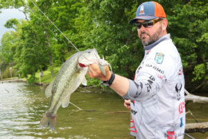 With the exception of extremely tough conditions, moving presentations like spinnerbaits are your best bet for covering water.