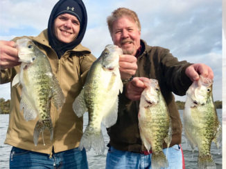 In addition to good numbers, Saline-Larto is producing more and more big crappie like these.
