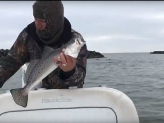The calendar may say it's wintertime, but Tommy Vidrine is catching speckled trout in his usual spring and summertime fishing holes on Grand Isle.