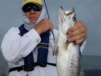 The calendar might say it's late January, but speckled trout out of Cocodrie are acting like it's April or May.