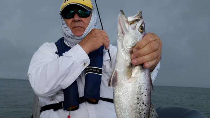 The calendar might say it's late January, but speckled trout out of Cocodrie are acting like it's April or May.