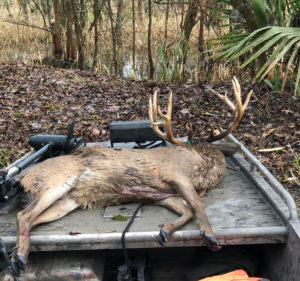 Savoy snapped this photo of the big 15-pointer loaded up on the bow of his Gator Tail - note the big deer's belly was raw. 