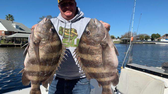 Christian Orfanello and two giant sheepshead he caught on Jan. 6 in the Lakeshore Estate canals in Slidell.
