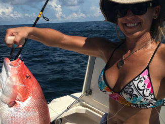 Offshore anglers in the Gulf of Mexico could earn up to $500 if they catch a tagged red snapper as part of a study to check the accuracy of federal red snapper counts.
