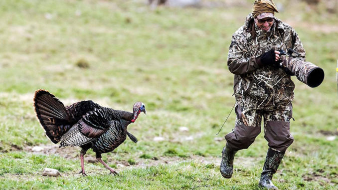 This aggressive turkey was a nuisance to one photographer, but a source of laughter for another.