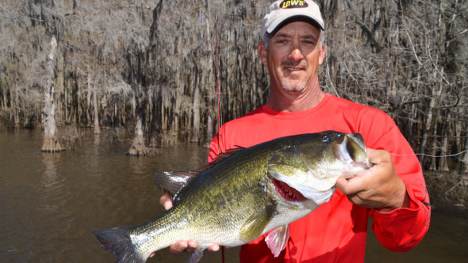 The secret for success during spawning season is hitting as many trees as quickly as possible.