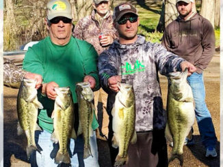 Five Lake Bruin bass like this will win any tournament or make any weekend angler happy.