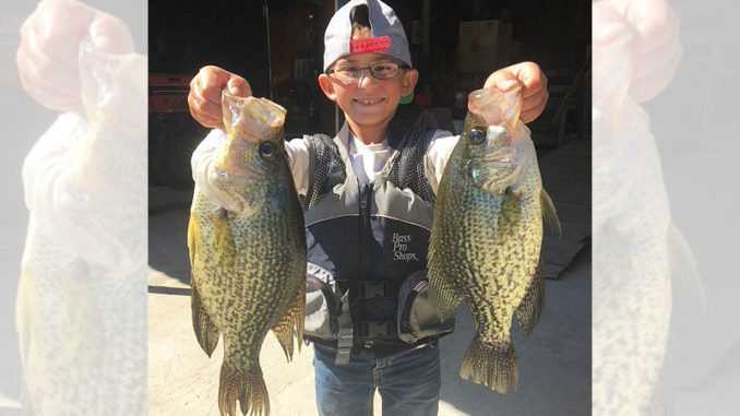 Cayden Meche of Duson, who loves to fish and hunt, shows off two “big hammers” he caught at Henderson Lake.