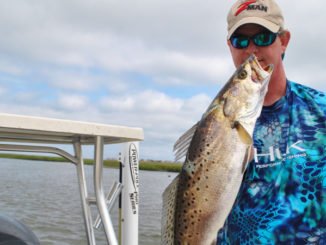 Spring speckled trout will move miles to get away from muddy water because they need water with higher salinity.