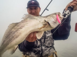 Jerkbaits will trigger strikes from speckled trout year-round, but they’re especially productive in cold weather.