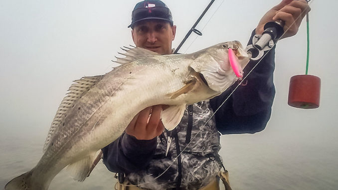 Jerkbaits will trigger strikes from speckled trout year-round, but they’re especially productive in cold weather.