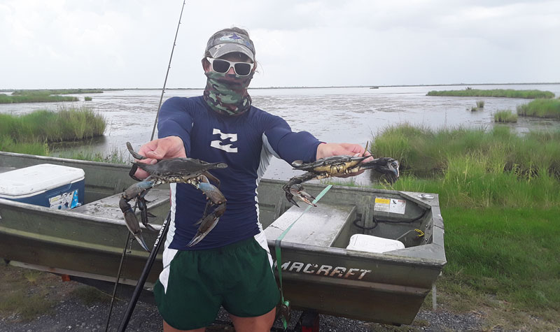Huge blue crabs are the main objective of most of the author’s strips to the marsh in June. Fish are just a bonus.