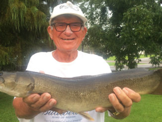Fishing for sac-a-lait in Bayou Des Allemands, Lloyd Brandt ended up catching this choupique.