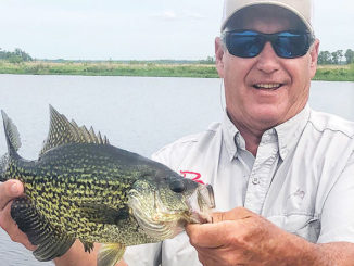 Sac-a-lait have moved into Lake Des Allemands and will remain there throughout the summer, says local fishing expert Mike White.