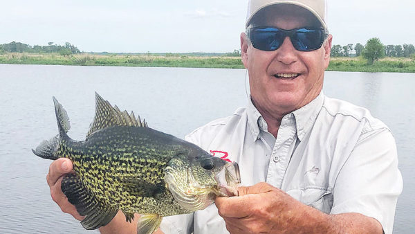 Sac-a-lait have moved into Lake Des Allemands and will remain there throughout the summer, says local fishing expert Mike White.