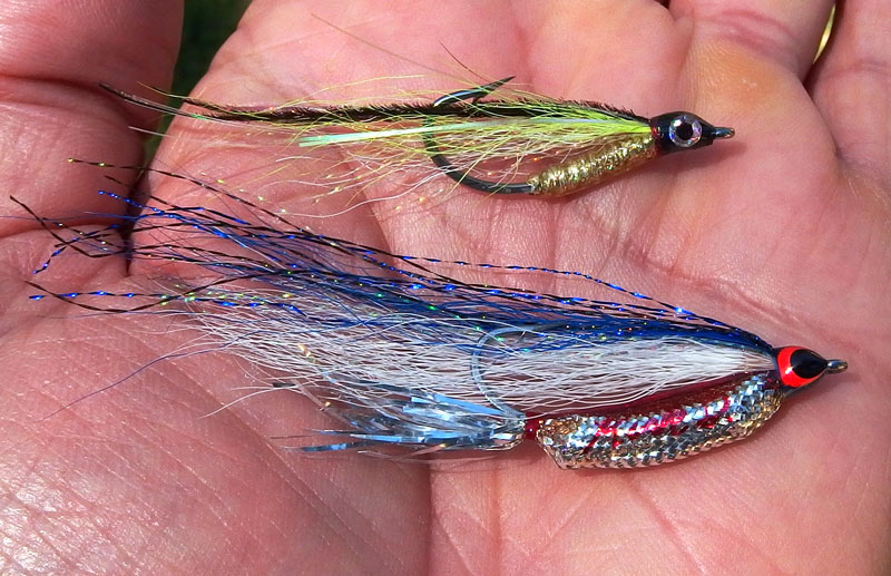 This month, a good choice for heavy grass in marsh ponds are bendback flies, like the Prince of Tides (top) and Kirk's Rattle Rouser (bottom).