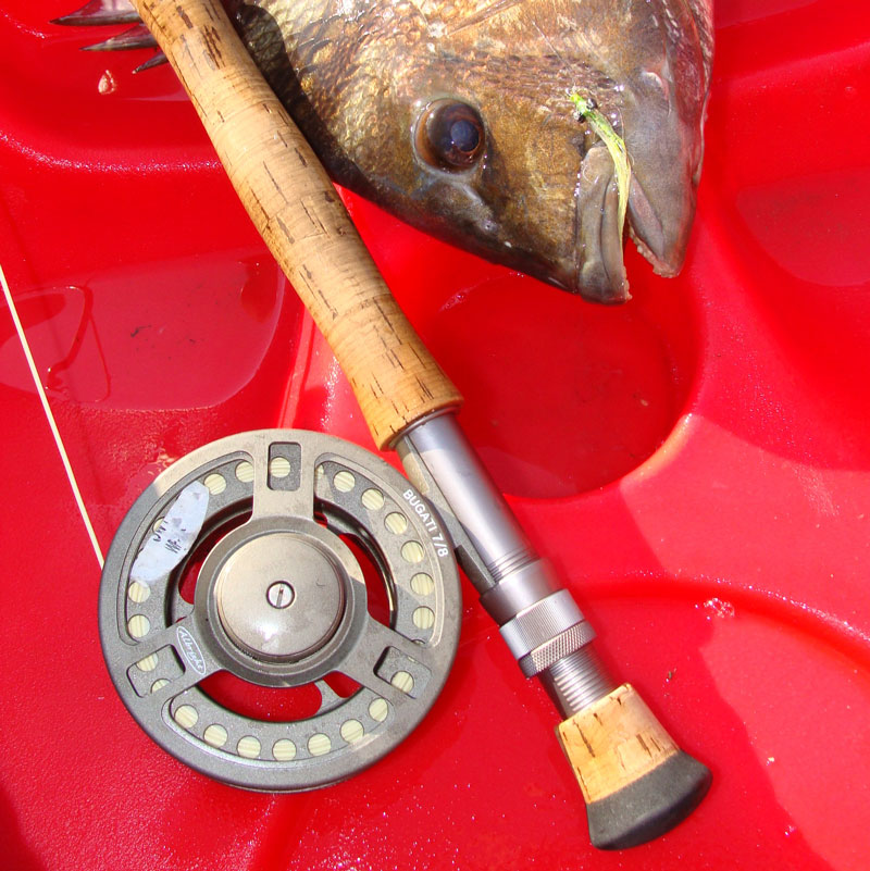 For the marine environment, reels should be large arbor and anodized, with a center drag. Rods should have an anodized reel seat and fighting butt.
