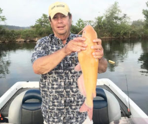 Wendell Young of Eunice displays a gold catfish with pink whiskers, fins and tail weighing over 5 pounds. It was taken April 30 on a trotline baited with live bream in Indian Creek Reservoir in Rapides Parish near Woodworth.
