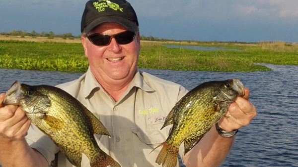 Canals around Lake Des Allemands and Bayou Gauche produce nice crappie in May and June.