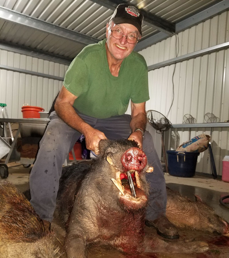 Darrell Barker of Krotz Springs has been chasing wild hogs with shotguns and dogs for quite a few years. Recently, he’s moved to hunting at night with a Pulsar Apex thermal scope to help local farmers. He even put his dad, Harold Barker (pictured), on his first hog ever.