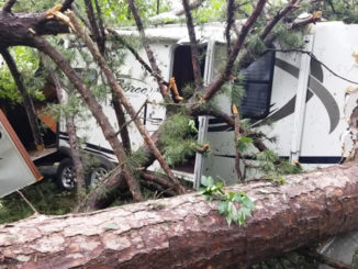 One of the campers that got crushed by the falling trees on Caney Lake. (Photo courtesy of Chantay Ramsey)
