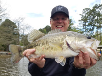 A long, fat and sassy bass that made the mistake of biting a Zoom Super Fluke offered by Louisiana Sportsman publisher Tony Taylor was one of the larger bass he caught during the six-day trip for an early April bass club tournament at Toledo Bend.