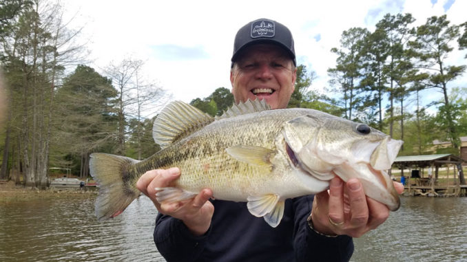 A long, fat and sassy bass that made the mistake of biting a Zoom Super Fluke offered by Louisiana Sportsman publisher Tony Taylor was one of the larger bass he caught during the six-day trip for an early April bass club tournament at Toledo Bend.