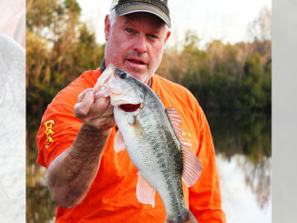 A drop-shot rig will produce bass that have been hammered with other baits.