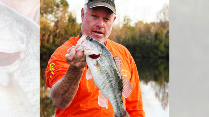 A drop-shot rig will produce bass that have been hammered with other baits.