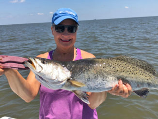 Vickie Venable of Terry, Miss., got this 6 ½-pound, 26-inch long speck on a live shrimp near Shell Beach.