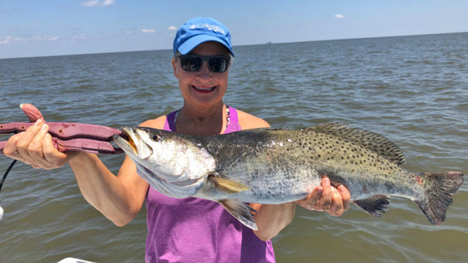 Vickie Venable of Terry, Miss., got this 6 ½-pound, 26-inch long speck on a live shrimp near Shell Beach.