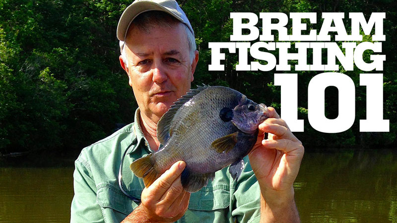 Louisiana Sportsman